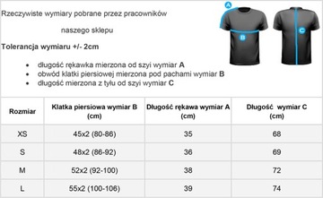 REEBOK Koszulka męska sportowa T-shirt stylowa treningowa bawełniana L