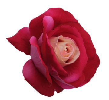 RÓŻA RÓŻE WELUROWA GŁÓWKA WYROBOWA SZTUCZNE KWIATY