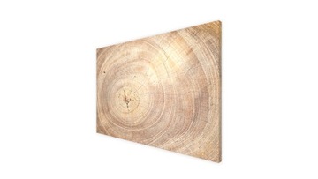 Магнитная доска WOOD для туристических магнитов.