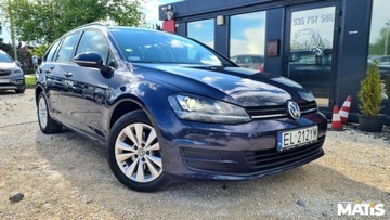 Volkswagen Golf VII Variant 1.6 TDI BlueMotion  110KM 2016 Volkswagen Golf 1.6Tdi 110KM Salon Polska 2xPD..., zdjęcie 4