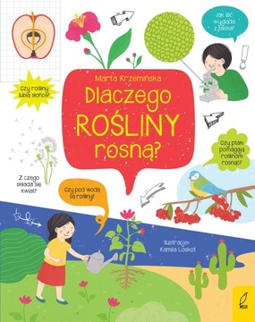 Co i jak? Dlaczego rośliny rosną? /Wilga/