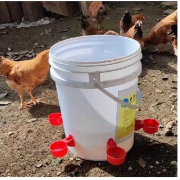 ВОДА ВОДА ДЛЯ ЦЫЛ, ПТИЦЫ, ГОЛУБЕЙ, 10 шт + БЕСПЛАТНАЯ БУРА