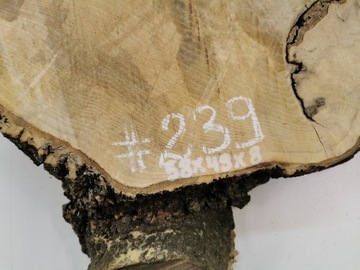 Срез ясеня 58х49 см. Большой выбор смолы