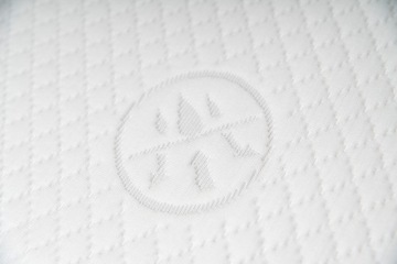 Матрас ПРЕМИУМ для коляски Bebetto Luca PRO Foam