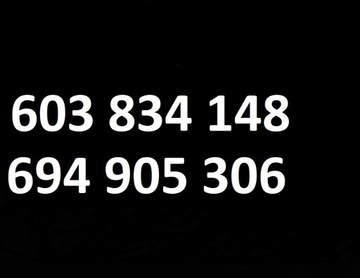 FIESTA MK8 NÁRAZNÍK Z MLHOVKY KPL PŘEDNÍ SVĚTLO PAS