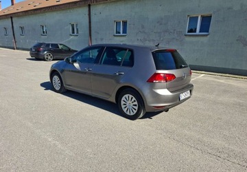 Volkswagen Golf VII 2013 Volkswagen Golf VW Golf VII 1.2 Full Opcja Tarnow 1.2 Benzyna 90KM, zdjęcie 6