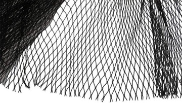 СЕТКА ДЛЯ ПТИЦ 10м x 10м ВИШНЯ ВИНОГРАД И Т.Д.