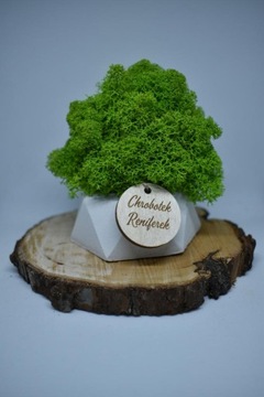 Подарочный набор «Рубильный лес»