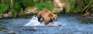 ФОТОГРАФИИ ЛОВУШКА IR 850nm СОЛНЕЧНАЯ ЛЕСНАЯ ОХОТНИЧАЯ КАМЕРА Польское Меню 48Mpx 2шт.