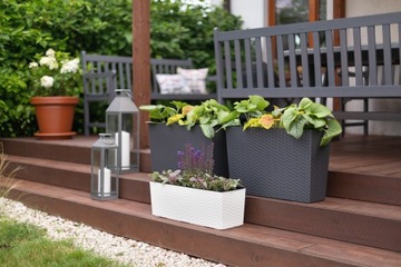 Подставка для цветов Begonia Rattan Lamel 5 цветов + вставка