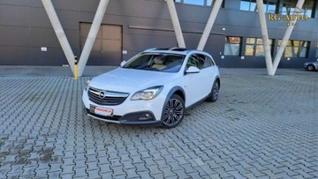 Opel Insignia I Country Tourer 1.6 CDTI Ecotec 136KM 2015 Opel Insignia 1.6CDTI CountryT Oryginal 198Tkm..., zdjęcie 17