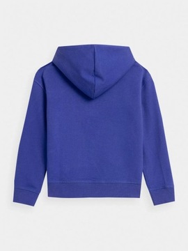 СВИТШОТ С КАПЮШОНОМ 4F ДЛЯ МАЛЬЧИКОВ AW23M632