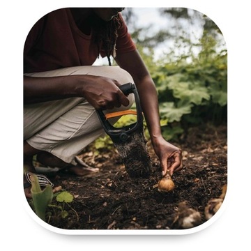 Ручная сеялка для луковиц и рассады чеснока.