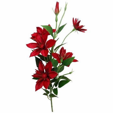 Piękna duża Gałązka sztuczna Clematis Klematis Powojnik 80 cm czerwony