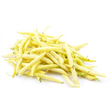 NASIONA FASOLA SZPARAGOWA SONESTA 1KG