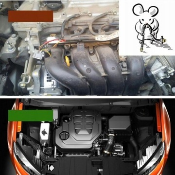 ОТПУСКАТЕЛЬ МАТЕ ДЛЯ МЫШЕЙ ГРЫЗУНОВ АВТОМОБИЛЬ МУЖЧИНА 12В