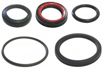 KOMPLET USZCZELEK SIŁOWNIKA WSPOMAGANIA DV 1792