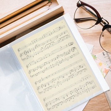 Важный органайзер для бумаги. Папка А4. Кольцо А4