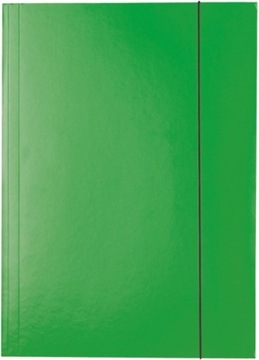 Teczka z gumką tekturowa ESSELTE zielona