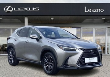 Lexus NX II SUV Facelifting 2.5 350h 243KM 2023 Lexus NX 350h Omotenashi AWD I Vat23 I Od Dealera 2.5 Hybryda 243KM, zdjęcie 4