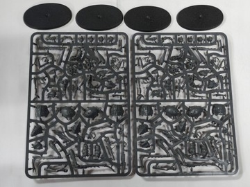 Necromunda Ash Wastes Nomads Dustback Helamites