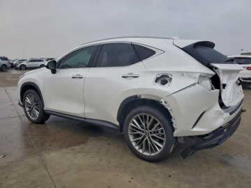 Lexus NX II 2025 Lexus NX 350 Premium 2025 2.4 Benzyna 275KM, zdjęcie 1