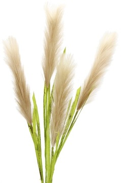 Sztuczna TRAWA PAMPAS 4x gęste gałązki CAPUCCINO
