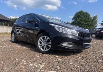 Kia Ceed II pro_cee´d 1.6 GDI 135KM 2014 Kia Ceed 1.6B 135KM klimatronik stan bdb LEDY 1.6 Benzyna 135KM, zdjęcie 1