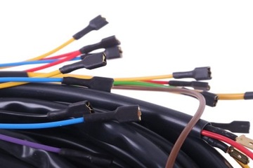 Wiązka elektryczna alternatora kompletna Ursus C360