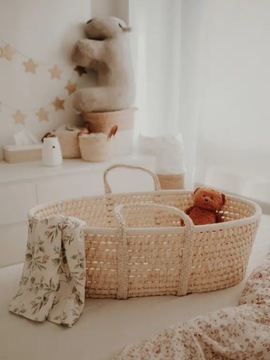Корзина Моисей с матрасом для кроватки Baby Ahoy