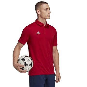 Koszulka Polo adidas Męska T-shirt Entrada22 r. L