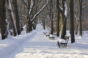 BARDZO CIEPŁE MĘSKIE ŚNIEGOWCE SZNUROWANE OCIEPLANE ZIMOWE TREKINGOWE SZYTE