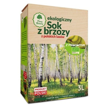 Sok z Brzozy z Polskich Lasów z Pigwowcem EKO 3l -
