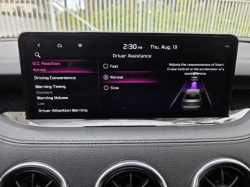 Kia Stinger 2022 kia stinger 2.5 l 303KM, GT-Line, AWD ,2x klucz, Dokumentacja,, zdjęcie 14