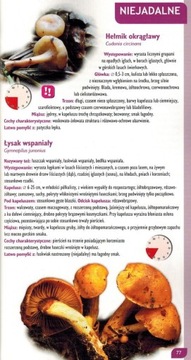 ПРАКТИЧЕСКИЙ АТЛАС РУКОВОДСТВО ПО ГРИБАМ ДЕМАРТА