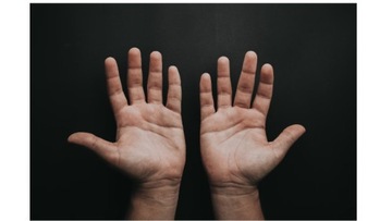 ОВЧАРКА Щетка ручная 1 шт.