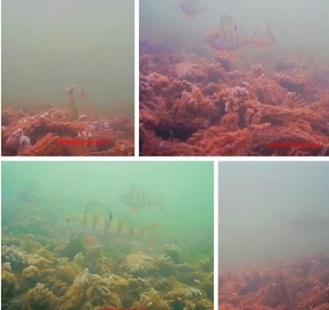 КАМЕРА ДЛЯ ПОДВОДНОЙ РЫБАЛКИ РЫБАЛКА 15м ПОЛЬША