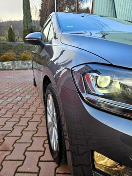 Volkswagen Golf Sportsvan Sportsvan 1.4 TSI BlueMotion Technology 125KM 2016 Volkswagen Golf Sportsvan BiXenon, KlimaTronik,,, zdjęcie 13