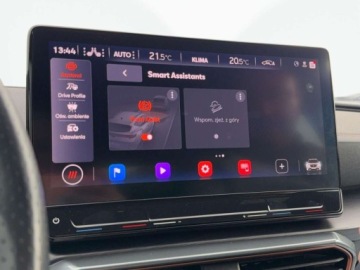Cupra Formentor Crossover 2.0 TSI 310KM 2022 Cupra Formentor Formentor VZ 4Drive DSG, Full Link, Led, Asysteci, Ambiente, zdjęcie 24