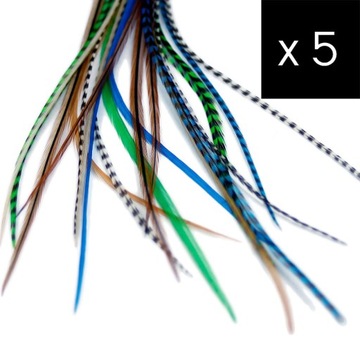 5 Piórka do Włosów - zestaw Forest