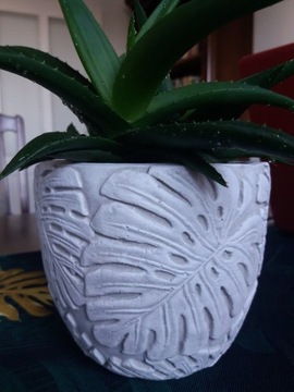 Монстера Бетонный вазон. Крышка для цветочного горшка