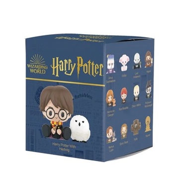 Popmart The Wizarding World Of Harry Potter Anime Figures Blind Box Animal