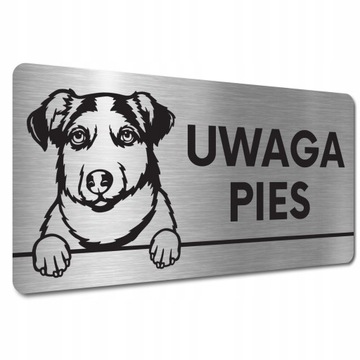 TABLICZKA UWAGA GROŹNY PIES ZŁY Alaskan malamute TABLICZKA UWAGA ZŁY PIES