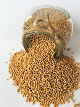 Подушка+наволочка гречневая лузга горчичная 40х40 эко