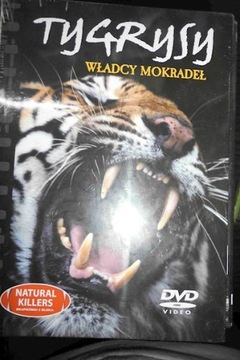 tygrysy władcy mokradeł