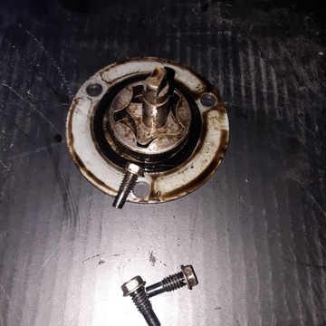Intek b&s pompa olejowa briggs ohv traktorek