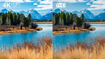 TCL 50C645 50-дюймовый QLED 4K UHD Google TV