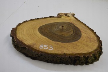 Срез древесины грецкого ореха 48x41Gr4,5 для смолы