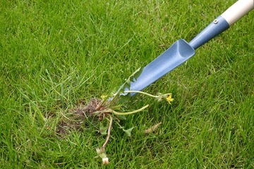 2x СЪЕМНИК, подрезчик, СКРЕБОК ДЛЯ УДАЛЕНИЯ СОРЬНИКОВ, ОДУВАНЧИКОВ, МХА ИЗ СОЕДИНЕННОГО КУБИКА