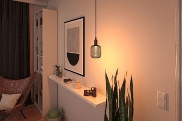 Светодиодная лампа Paulmann Metallic Glow Zyl Helix E27 3.5W 1800K - черная
